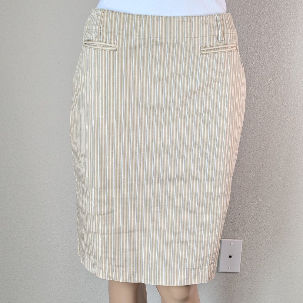 Ann Taylor Skirt Women's Size 6 Tan Striped Pockets Back-Zip & Hook Black Label